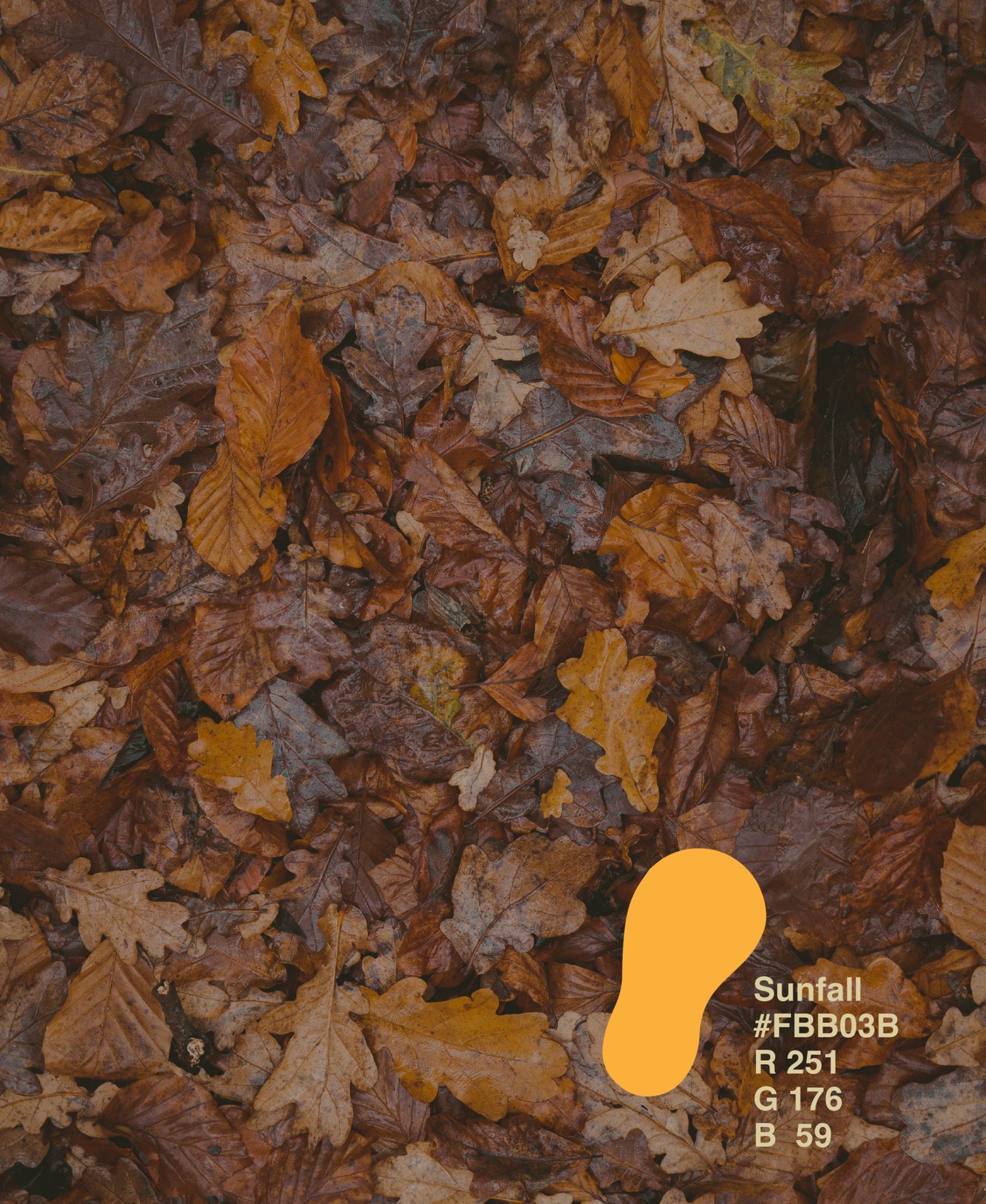 Sunfall colour