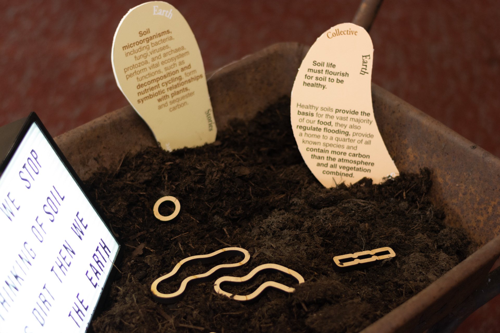 Story cards and laser-cut shapes in soil